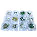 Serinity Flat Back Crystals Non Hotfix Supreme Mix Greens - Bluestreak Crystals