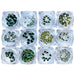 Serinity Flat Back Crystals Non Hotfix Supreme Mix Greens - Bluestreak Crystals